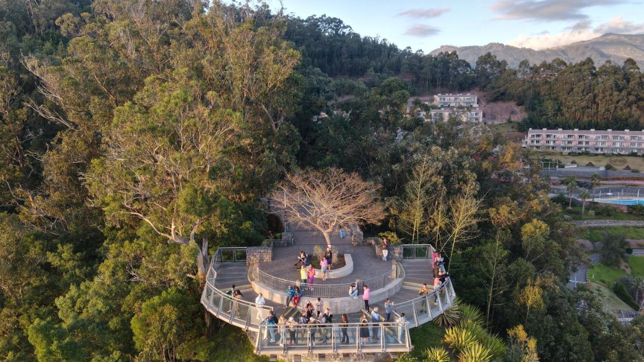 Sea And Sun 4 You - Jardins Da Imperatriz فونشال المظهر الخارجي الصورة