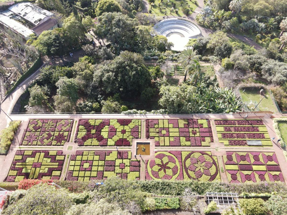 Sea And Sun 4 You - Jardins Da Imperatriz فونشال المظهر الخارجي الصورة