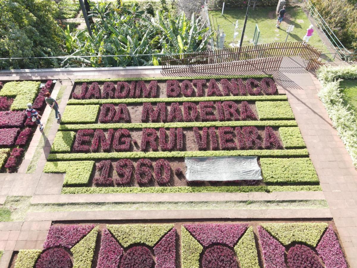 Sea And Sun 4 You - Jardins Da Imperatriz فونشال المظهر الخارجي الصورة